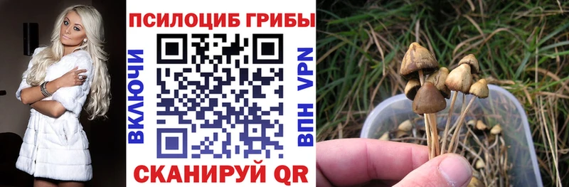 где продают наркотики  Трёхгорный  Псилоцибиновые грибы MAGIC MUSHROOMS 